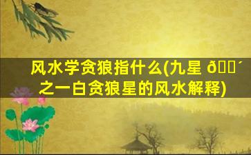 风水学贪狼指什么(九星 🌴 之一白贪狼星的风水解释)